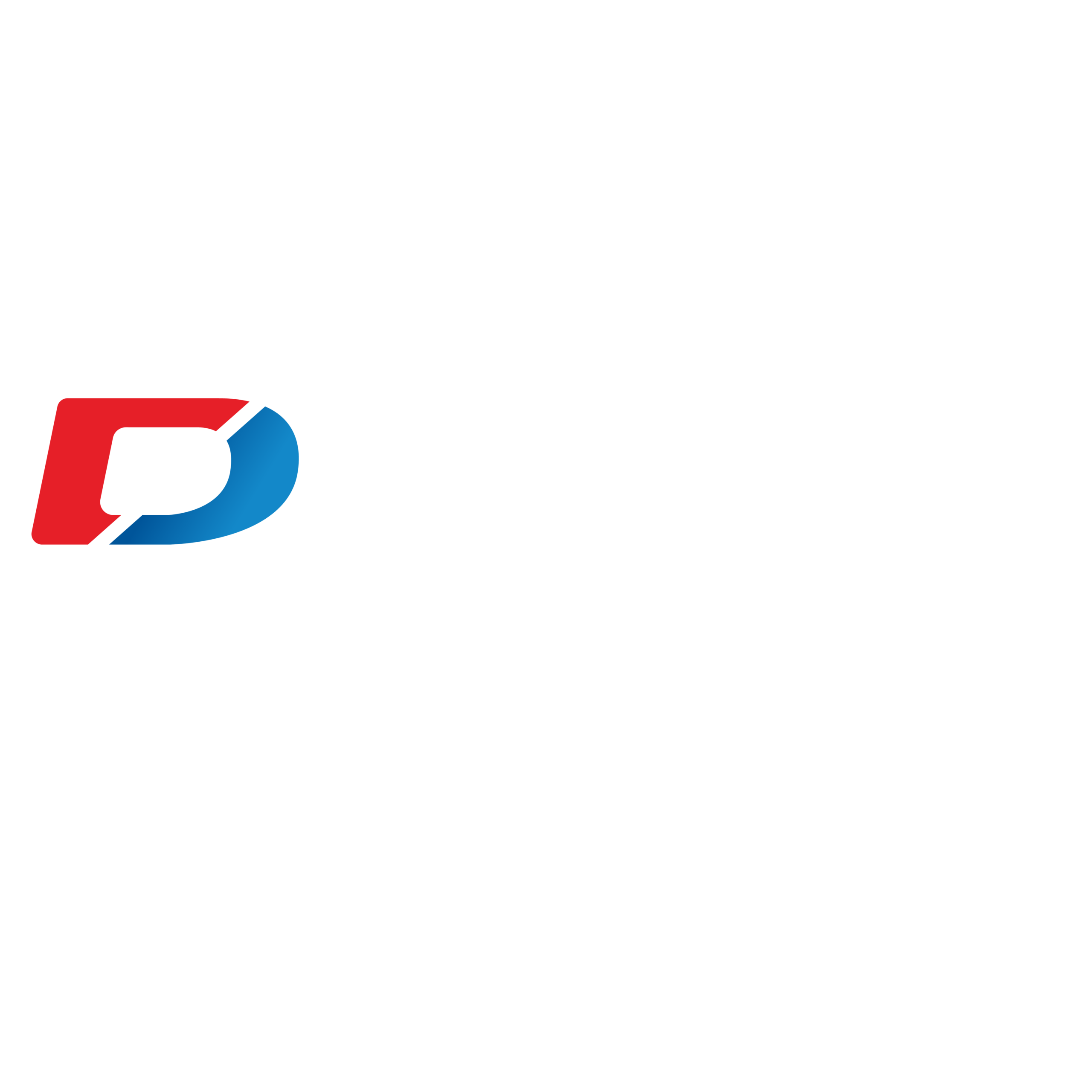Taller y Centro de Servicio Automotriz 4 diparvel flotas logo positivo scaled