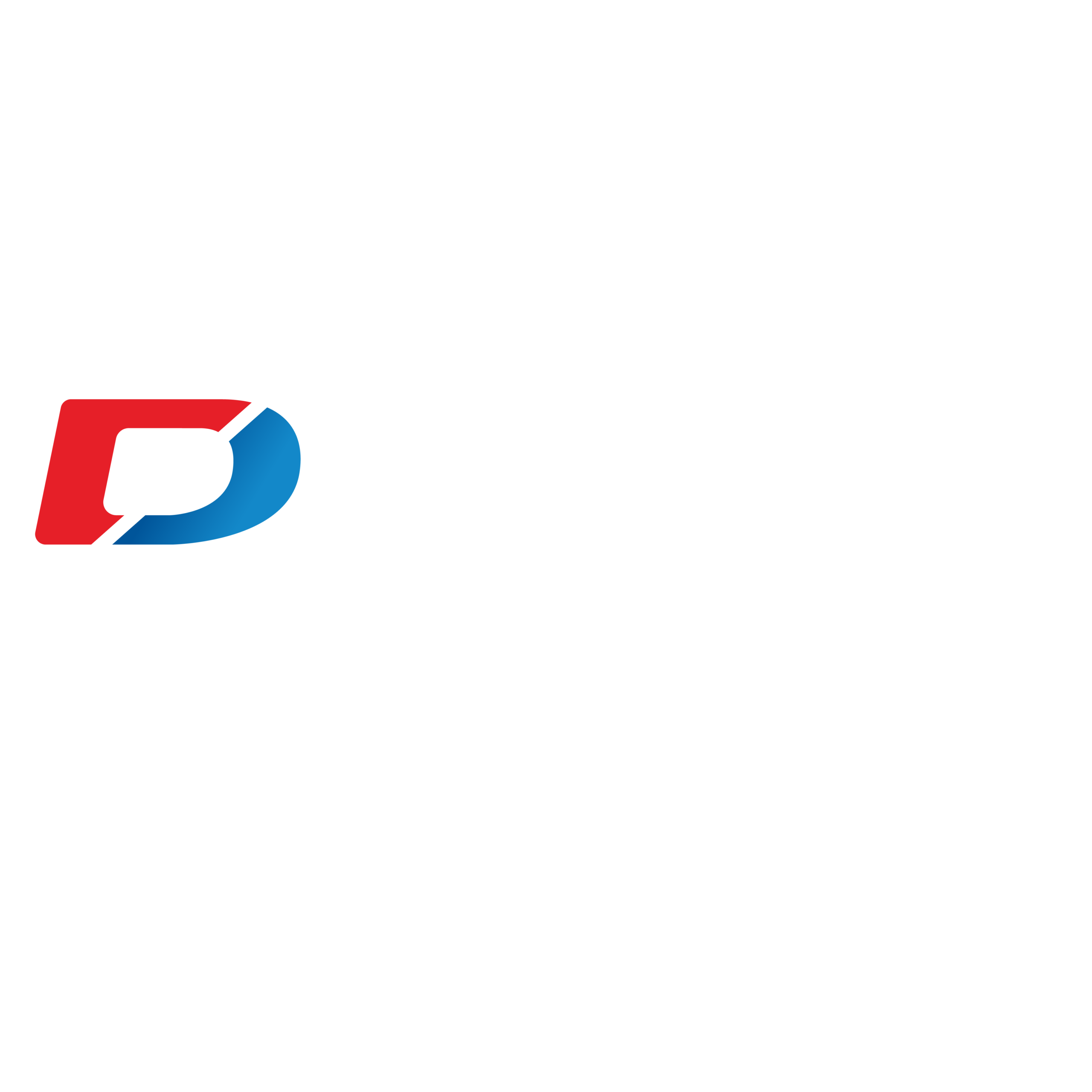 Taller y Centro de Servicio Automotriz 5 diparvel reencauche logo positivo scaled